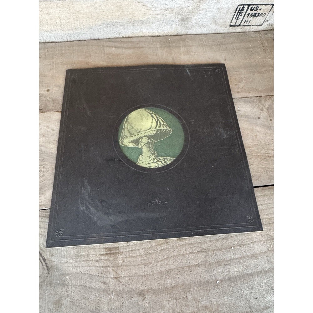 The Allman Brothers Dreams Record LP Insert Book Mushroom Shrooms music‎